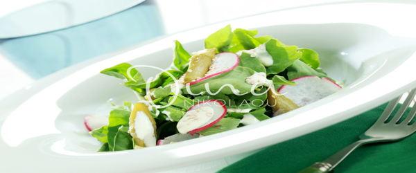 ΣΑΛΑΤΑ ΜΕ ΣΠΑΡΑΓΓΙΑ ΚΑΙ ΣΑΛΤΣΑ ΓΙΑΟΥΡΤΙΟΥ