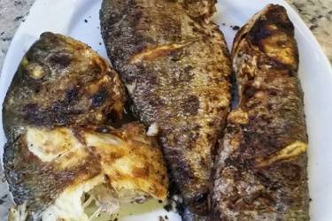 Ψάρια στα κάρβουνα
