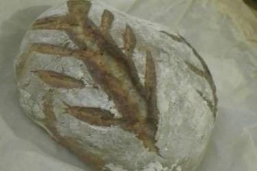 Ψωμί γάστρας (πυρέξ)  χωρίς ζύμωμα