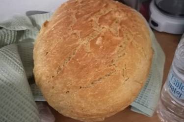 Ψωμί γάστρας
