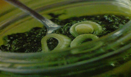 Σάλτσα μαϊντανού