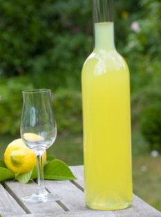 Λιμοντσέλο ( limonzello).
                  