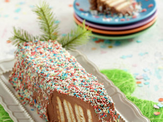 Δάσος του Πιεμόντε: Κορμός με μερέντα και καφέ