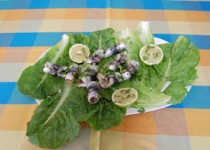 Φιλέτο σαρδέλας ρολό