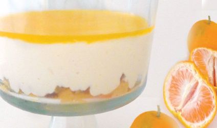 Μπαβαρουάζ μανταρινιού